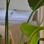 Semesterbostad Sorgiva Assisi