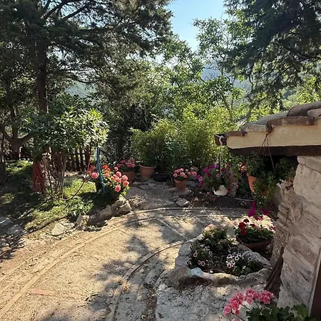 Casa vacanze La Sorgiva *